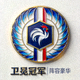 法国国家队队徽与高卢雄鸡图案，卫冕冠军阵容豪华